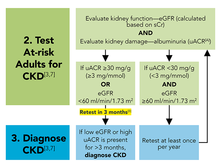 Chronic Kidney Disease Primary Care Hack